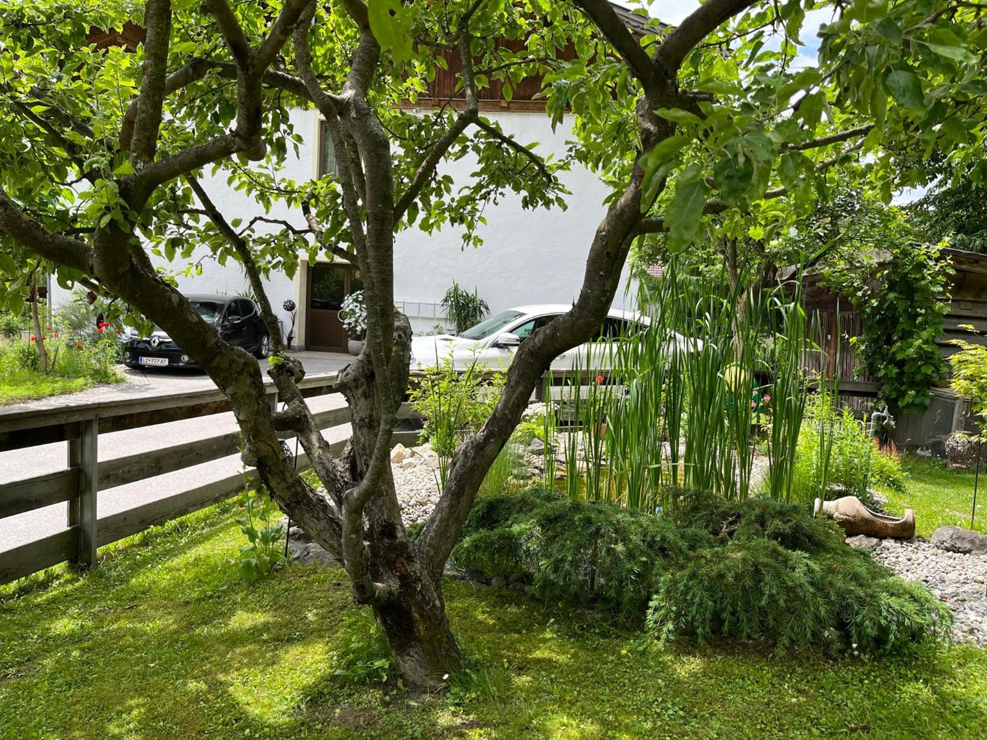 Bergmanns Ferienapartment Debant Exterior photo
